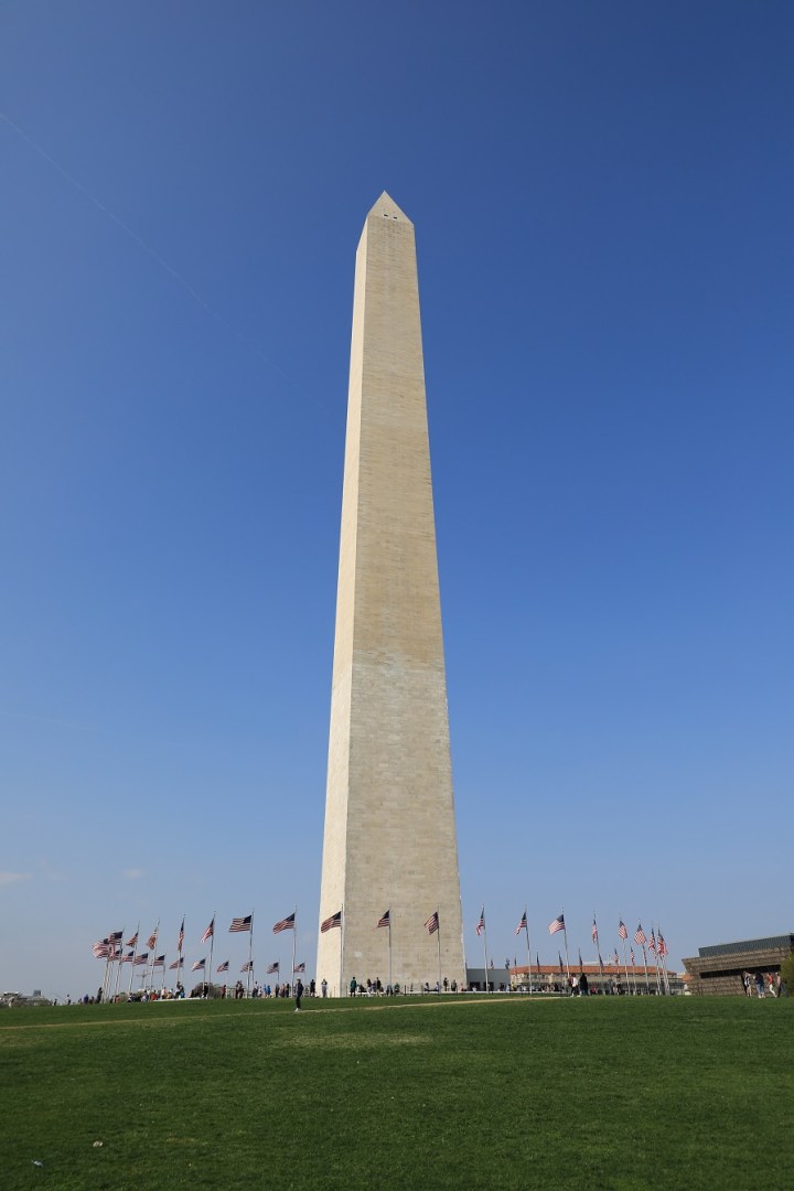 2P2A4919-1