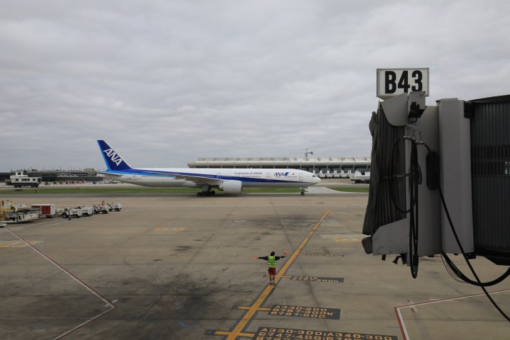 2P2A4946-1