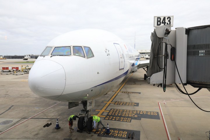 2P2A4952-1